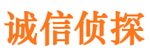 龙江市调查公司